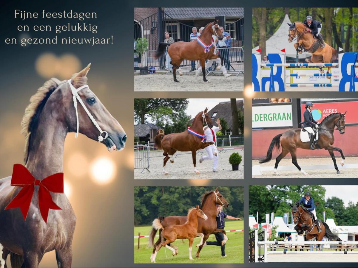 Fijne feestdagen
